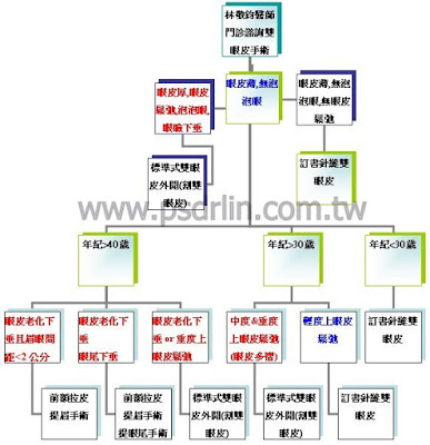 雙眼皮與拉皮手術諮詢