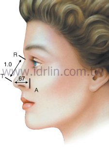 鼻樑的長度和鼻頭翹的長度的理想比例是1: 0.67