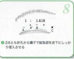 2+1訂書針縫雙眼皮 - 縫雙眼皮也有黃金比例唷